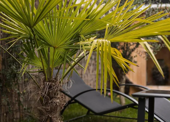 Modernhouse Ko26 Koblenz (Rhineland-Palatinate)